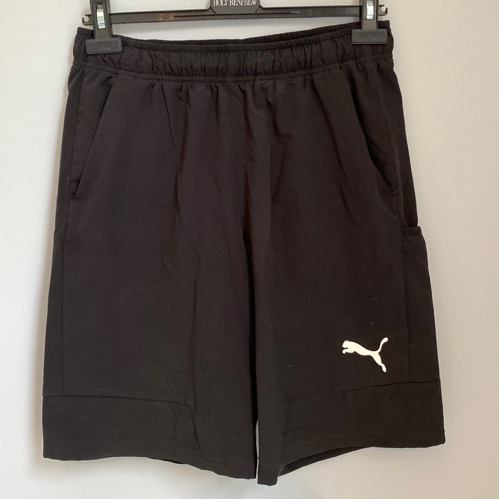Puma Shorts / Swim Trunks
